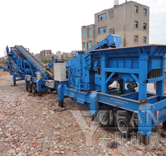 ��������̎��